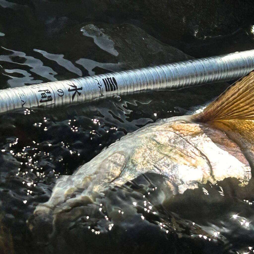 MIZU-NO-MA (Japanese Made Rod by River Peak)