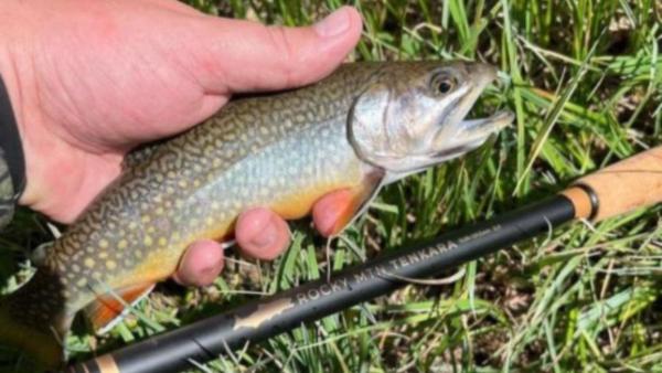 Rocky MTN "Chupacabra" Tenkara rod only