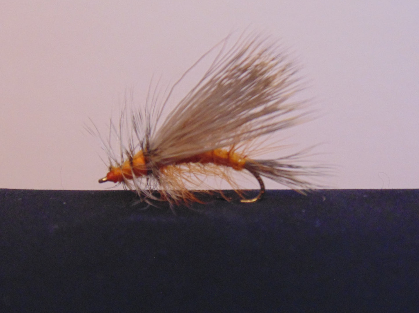 Stimulators (Terrestrial)