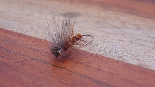 Elk Hair Caddis