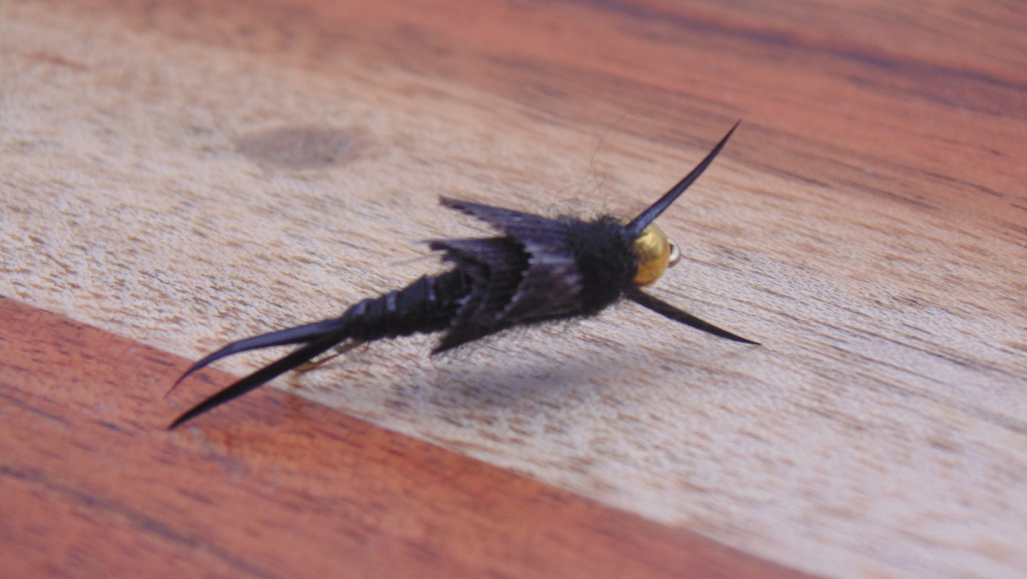 Stone Fly Bead Head