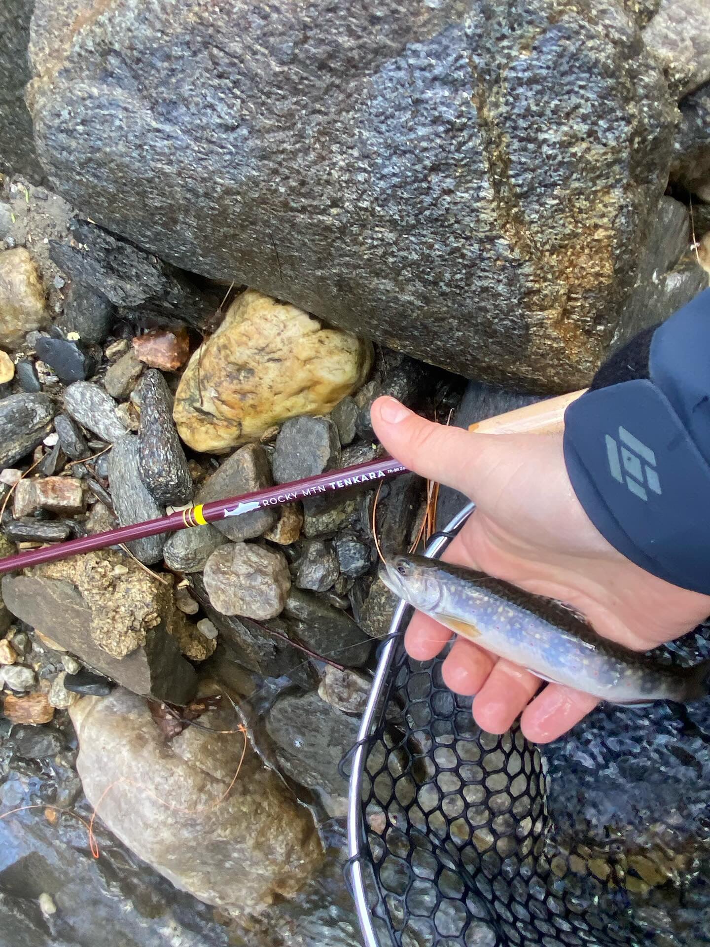 Rocky MTN "Chico" Care Package