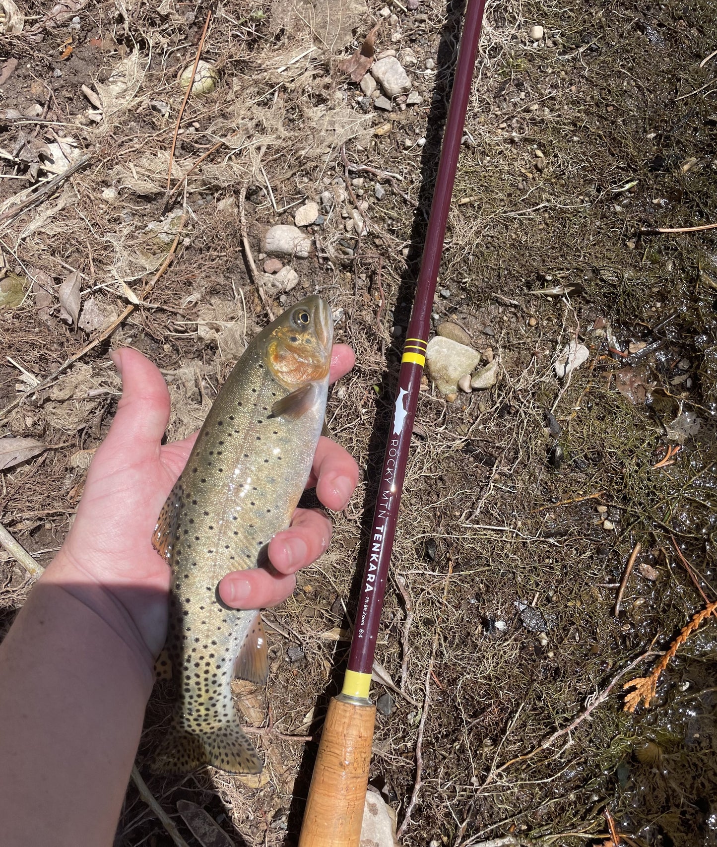 Rocky MTN "Chico" Care Package