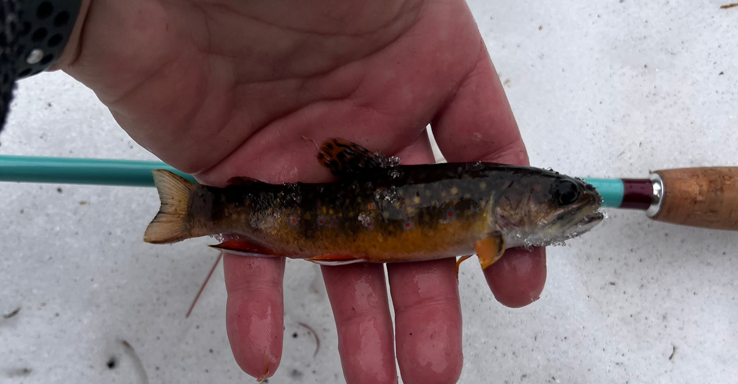 Rocky MTN Compa Tenkara rod kit with ZimmerBuilt Pack