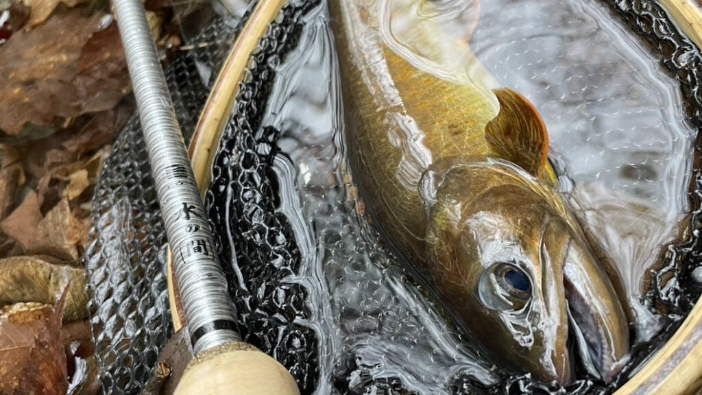 MIZU-NO-MA (Japanese Made Rod by River Peak)