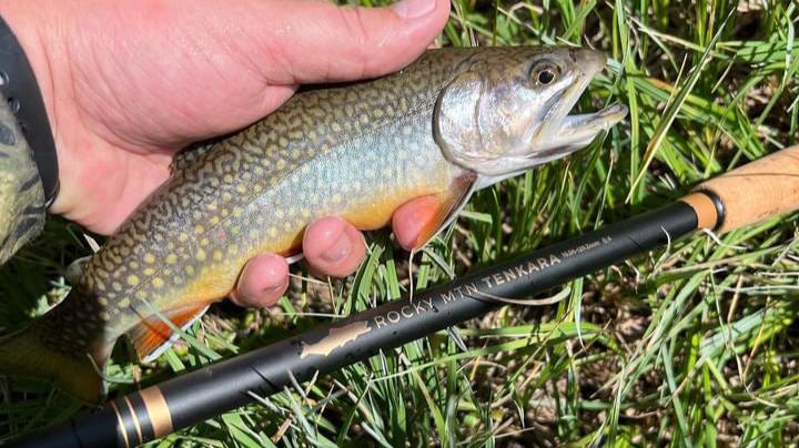 Go Anywhere Tenkara Package