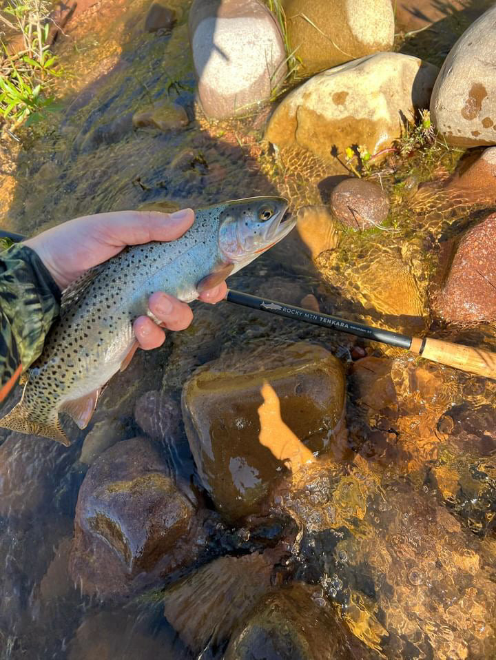 Rocky MTN "Chupacabra" Tenkara rod only