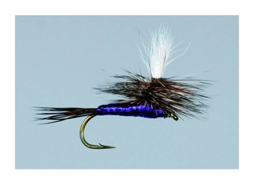 Parachute Adams and Purple