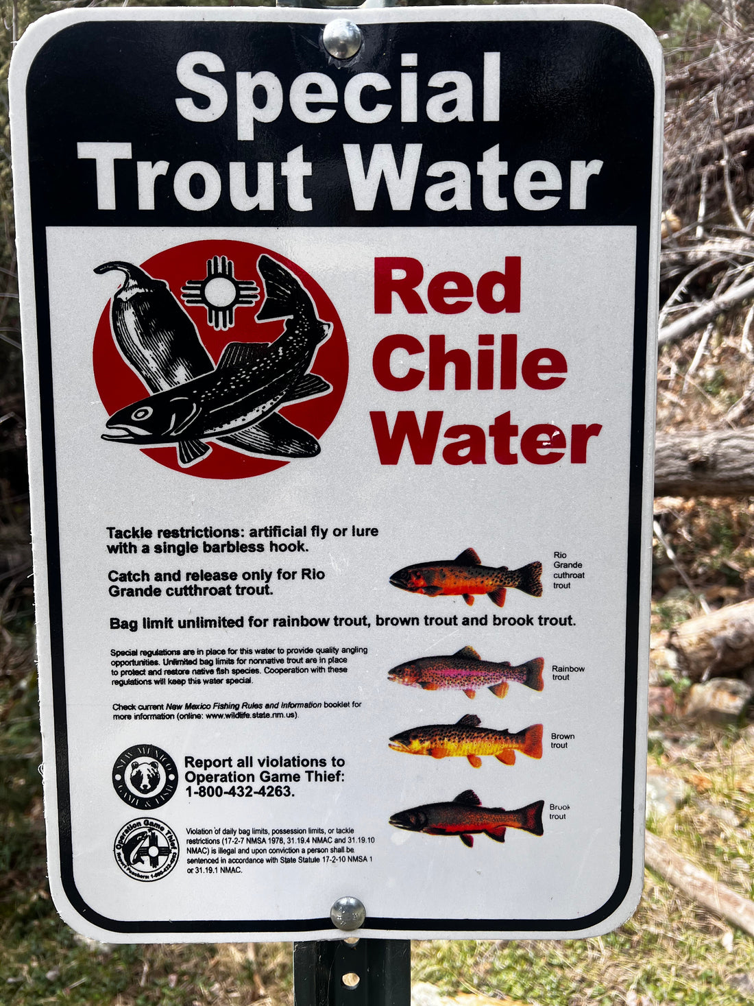 Rio Santa Barbara Video