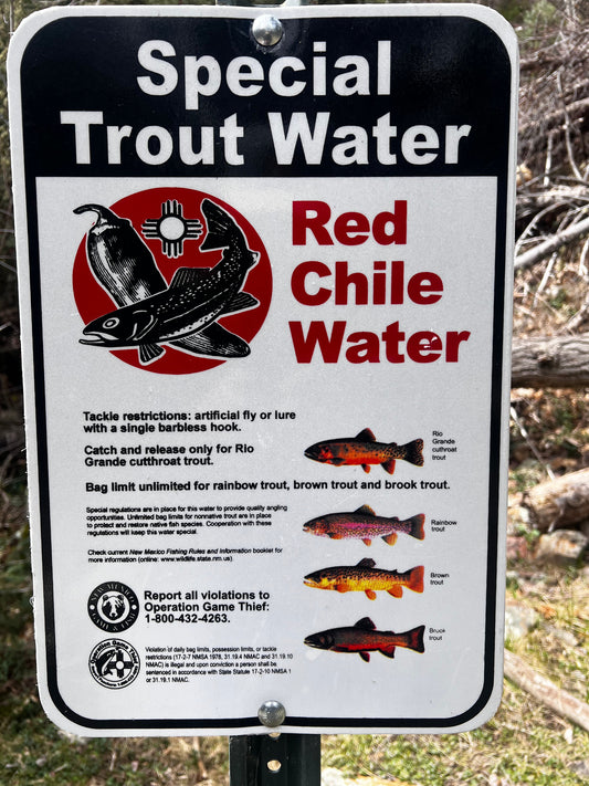 Rio Santa Barbara Video