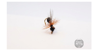 CDC Flying Ant