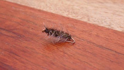 Griffiths Gnat