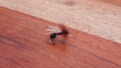 CDC Flying Ant