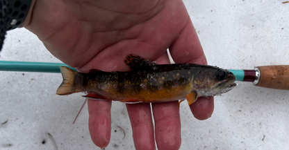 Rocky MTN Compa Tenkara rod kit with ZimmerBuilt Pack