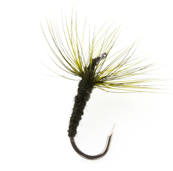 Fishing fly with green and black details on a white background