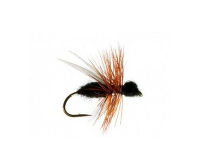 CDC Flying Ant