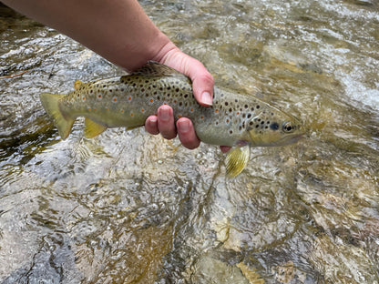 "The Chico" 7/8/9 ft. Zoom (Tenkara rod only)