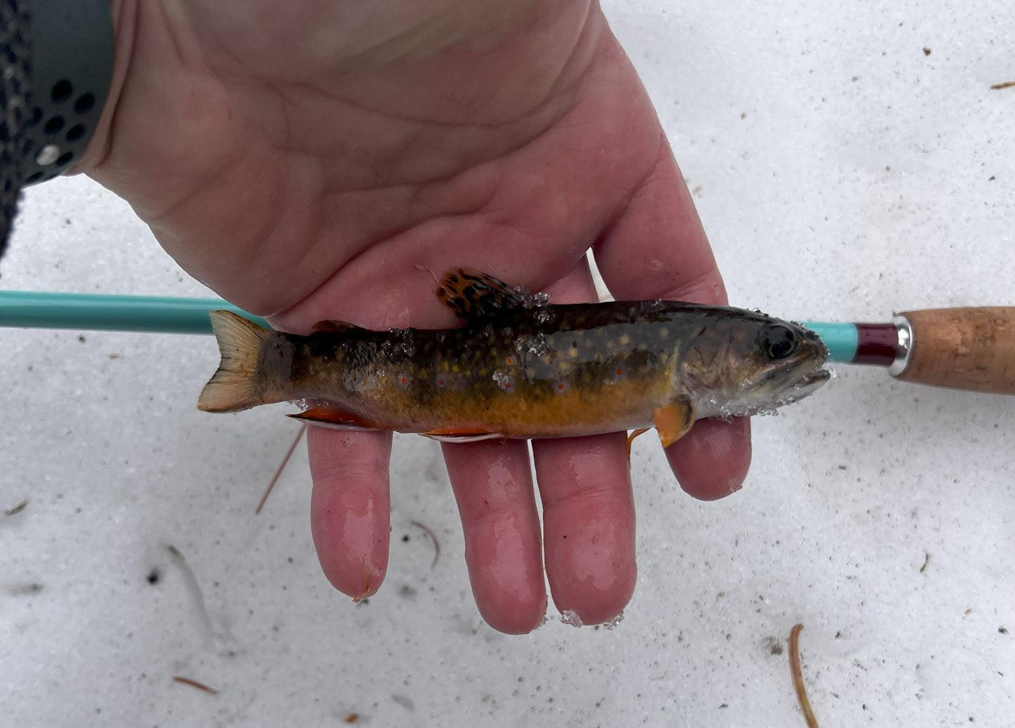 Rocky MTN Compa Tenkara rod only