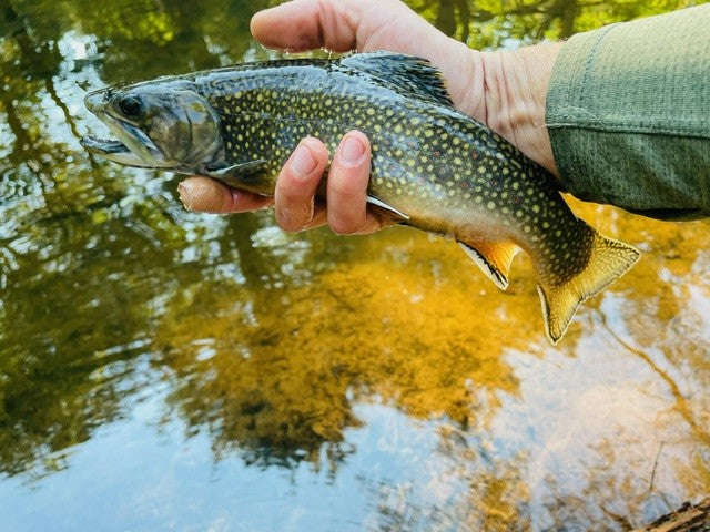 Rocky MTN "Chupacabra" Tenkara rod only