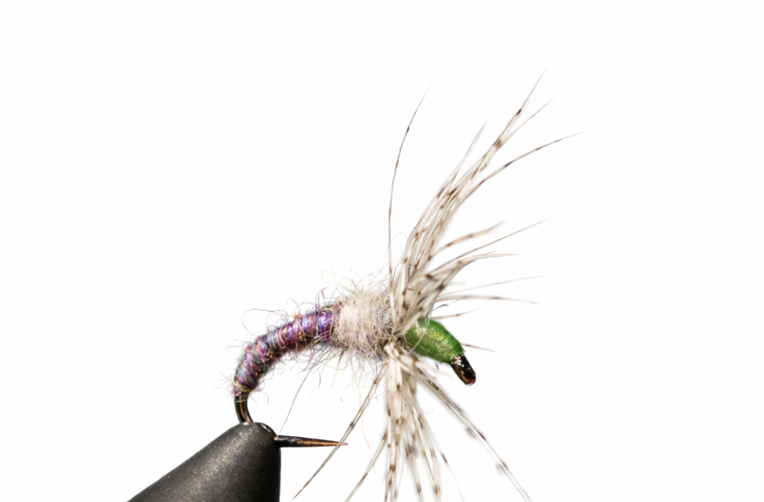 Close-up of a fly fishing fly on a white background