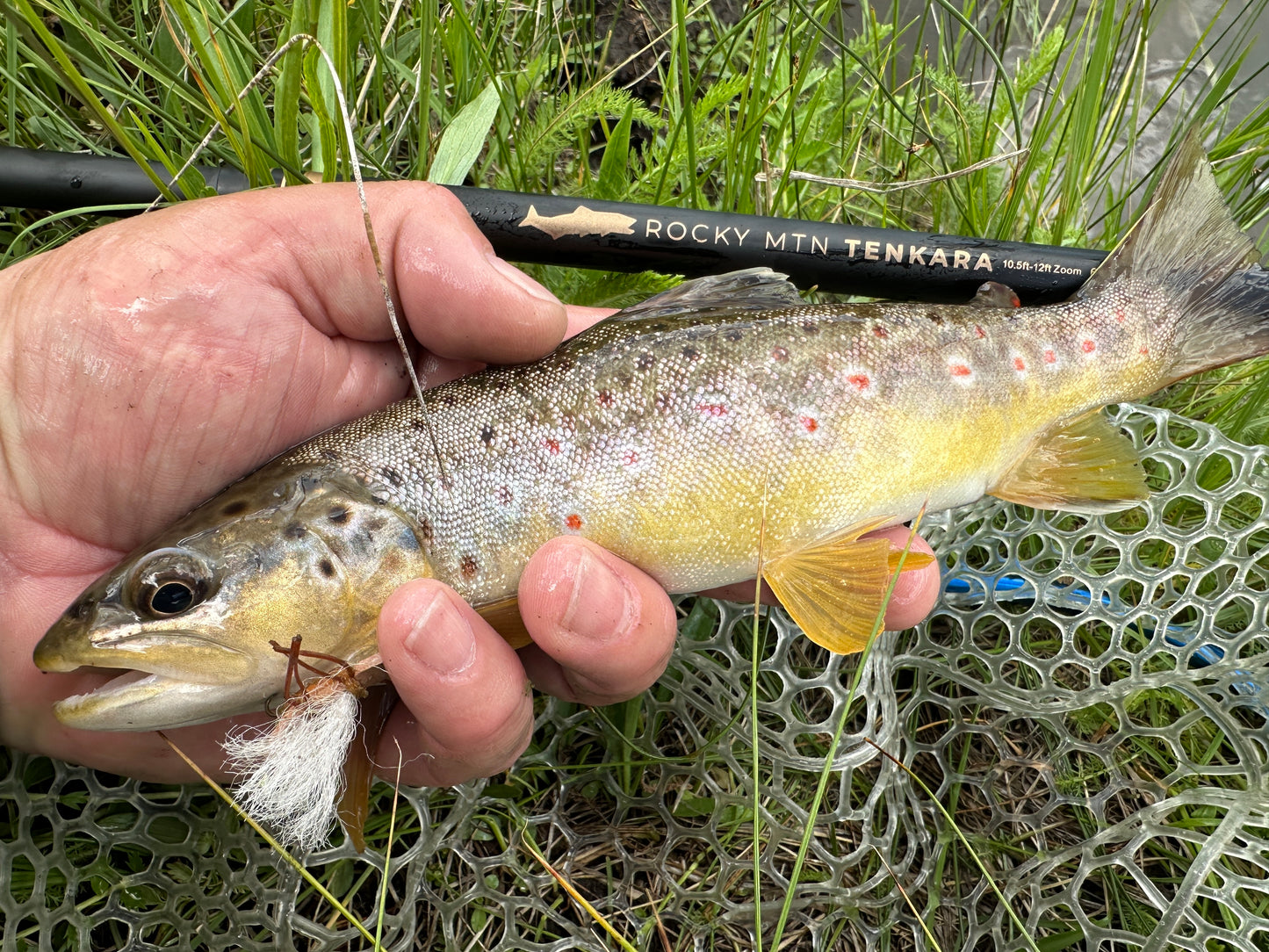 Rocky MTN "Chupacabra" Tenkara rod only