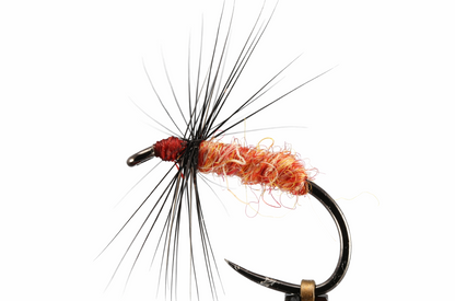 Fishing fly with red body and black wings on a white background
