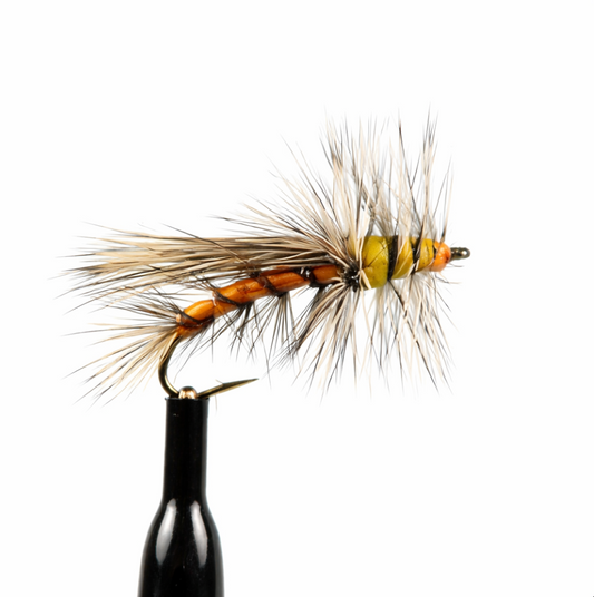 Stimulators (Terrestrial)